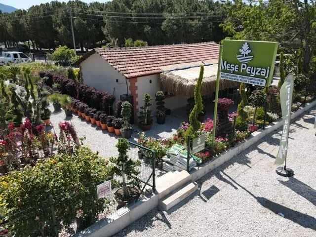 Meşe Peyzaj Fethiye Şubesi Hizmete Başladı