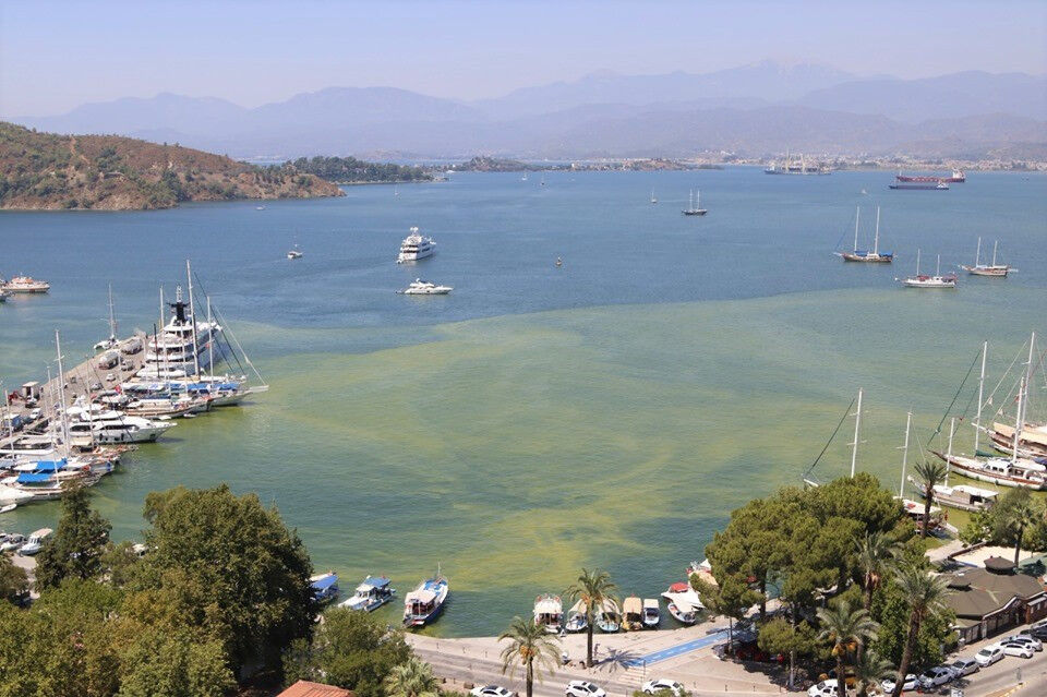 Milletvekili Yakup Otgöz'den Fethiye Körfez Kirliliği Açıklaması