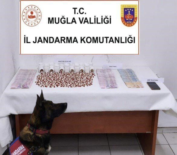 Muğla’da Bin 268 Adet Uyuşturucu Hap Ele Geçirildi