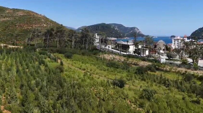 Muğla’da Büyük Yangınların 5. Yılında Yanan Alanlar Yeşil Örtüsüne Kavuştu