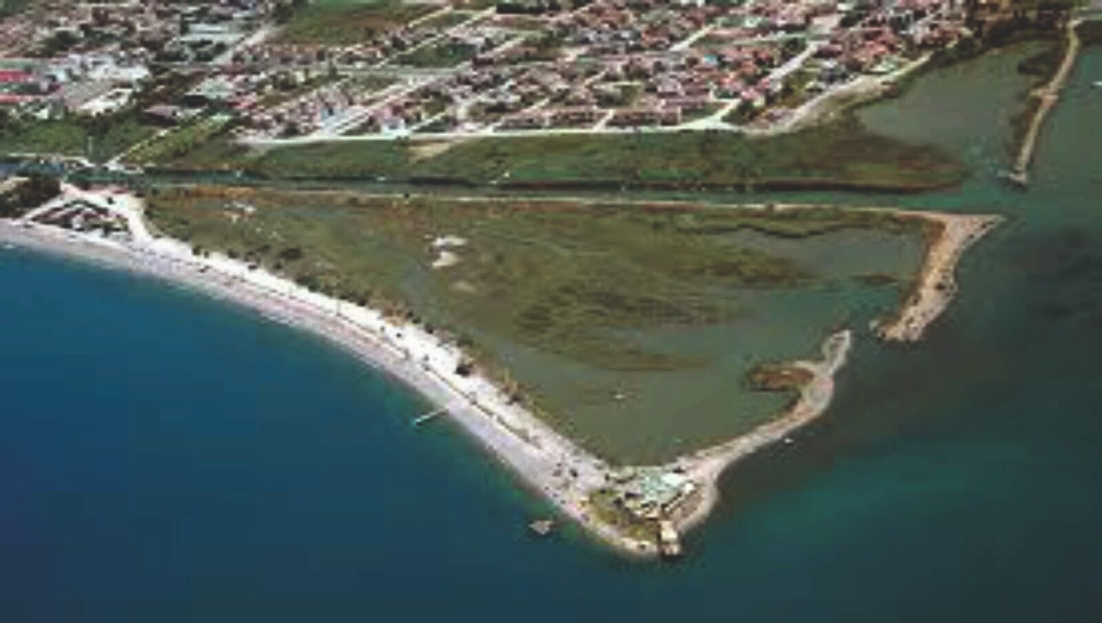 Muğla’da İlk Kez Fethiye’de Görüldü