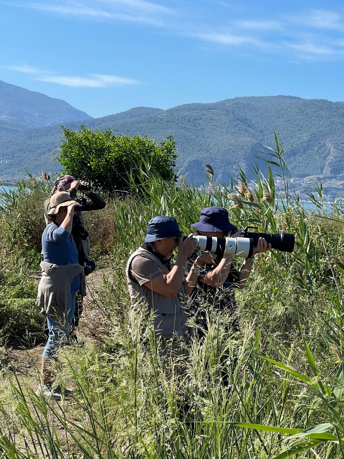 Muğla’da İlk Kez Fethiye’de Görüldü