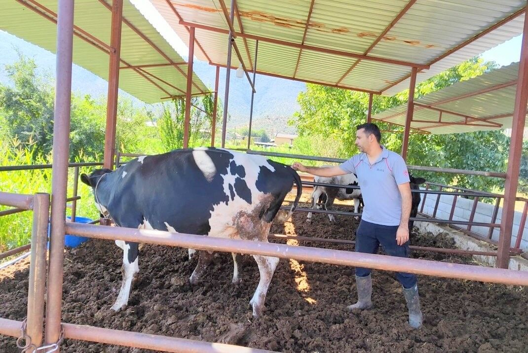 Şap Hastalığıyla Mücadele Hız Kesmiyor