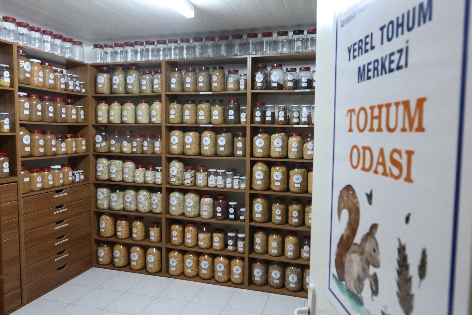 Muğla’nın Ata Tohumları Ülke Toprakları ile Buluşmaya Devam Ediyor