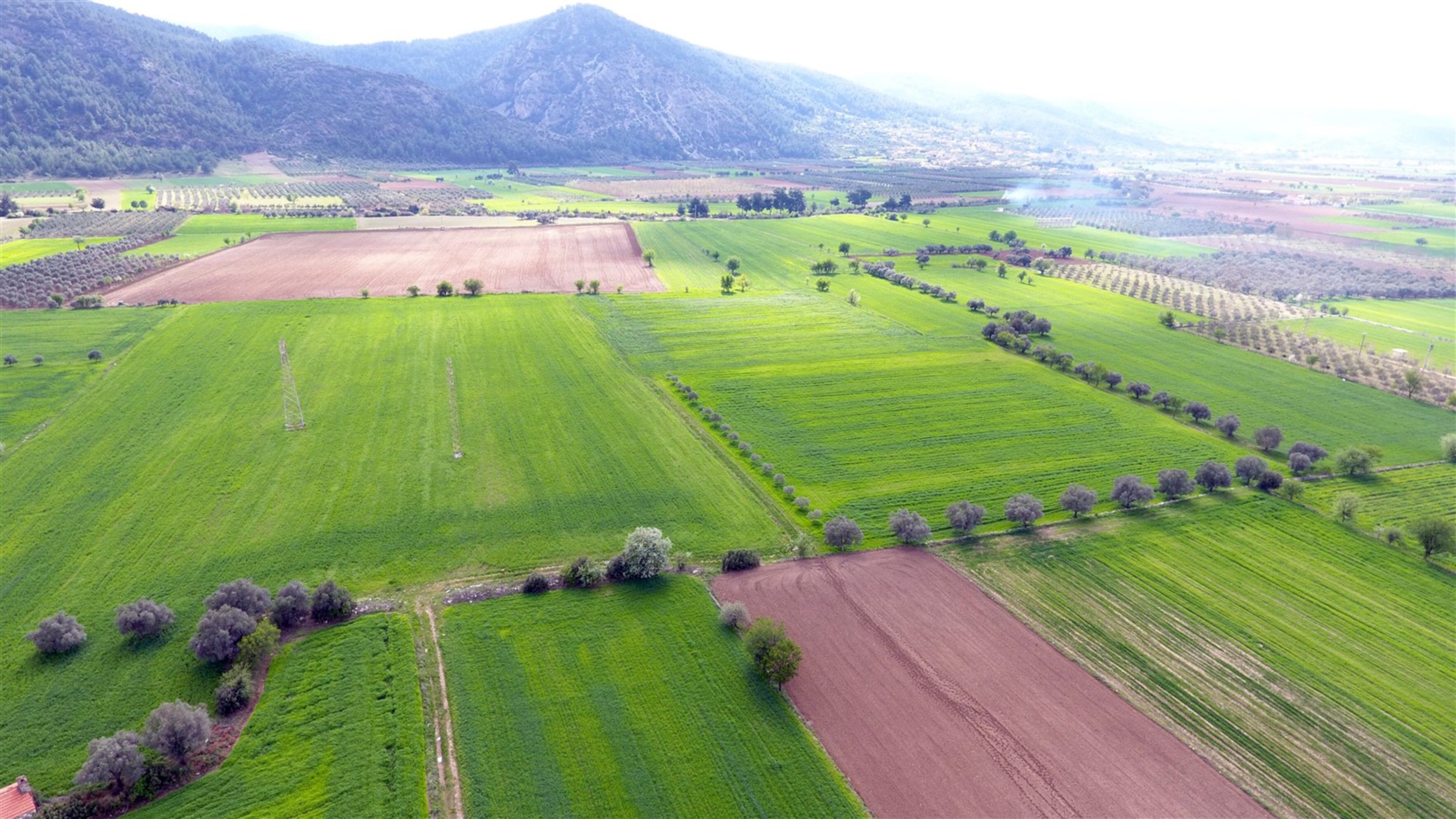Muğla’ya 23 Yılda 56 Milyar 348 Milyon TL’lik Yatırım