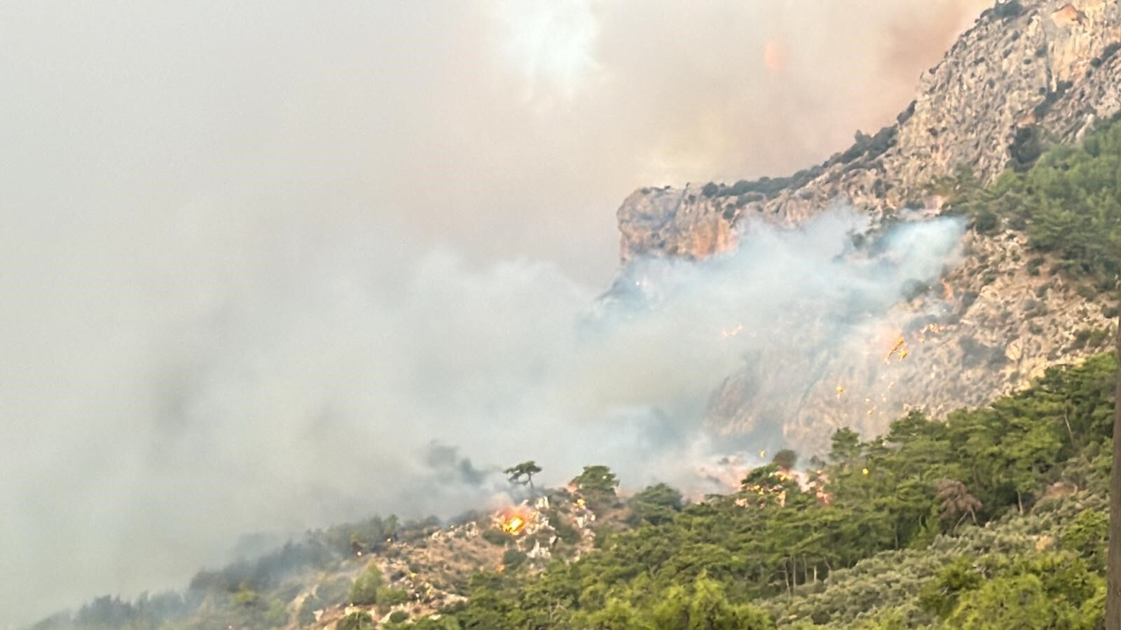 Muğla’yı Orman Yangınları Esir Aldı