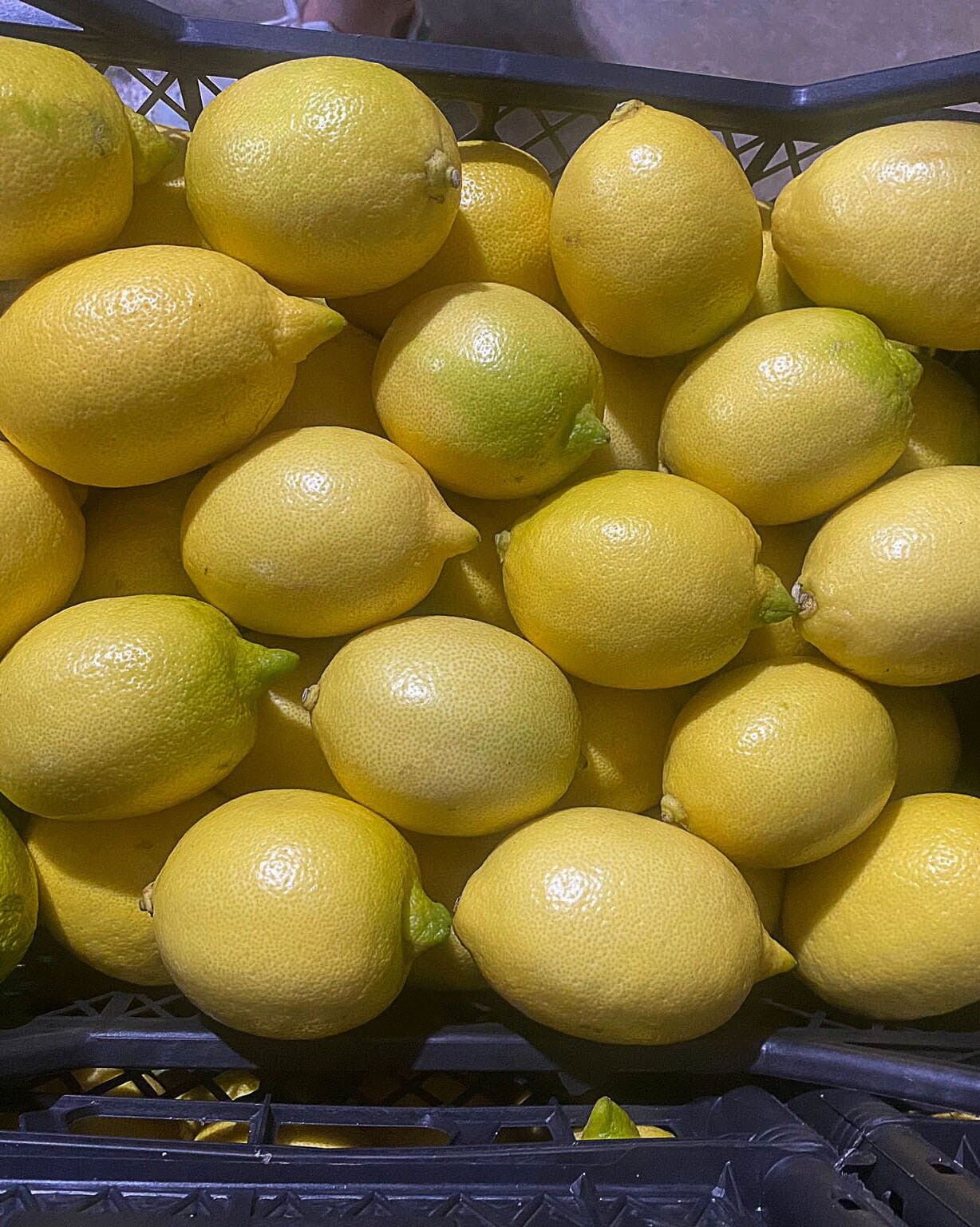 Nar Ve Limon İhracatında Rekor Beklentisi