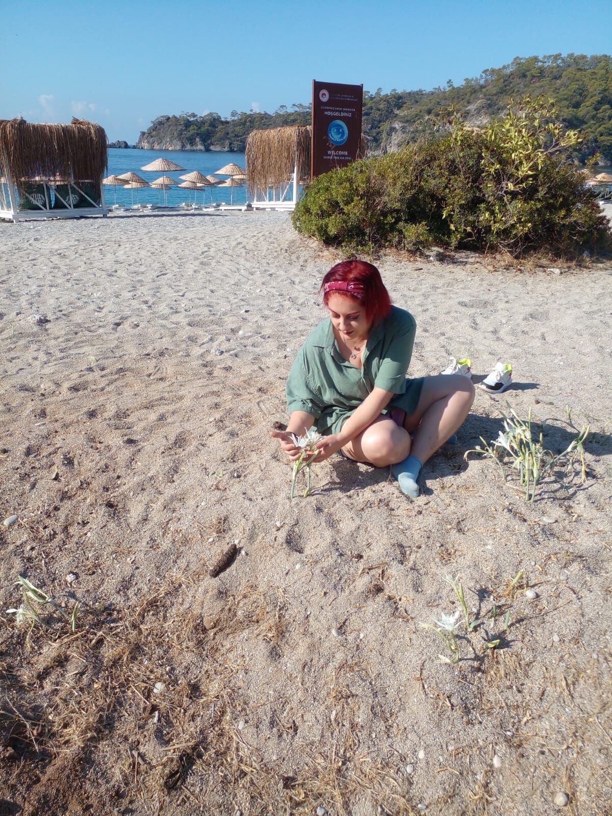 Fethiye Ölüdeniz’de Korunan Kum Zambakları Çoğalıyor