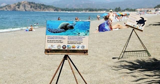 Ömrünü Caretta Caretta Ve Kuşlara Adadı