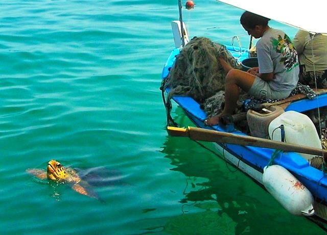 Ömrünü Caretta Caretta Ve Kuşlara Adadı