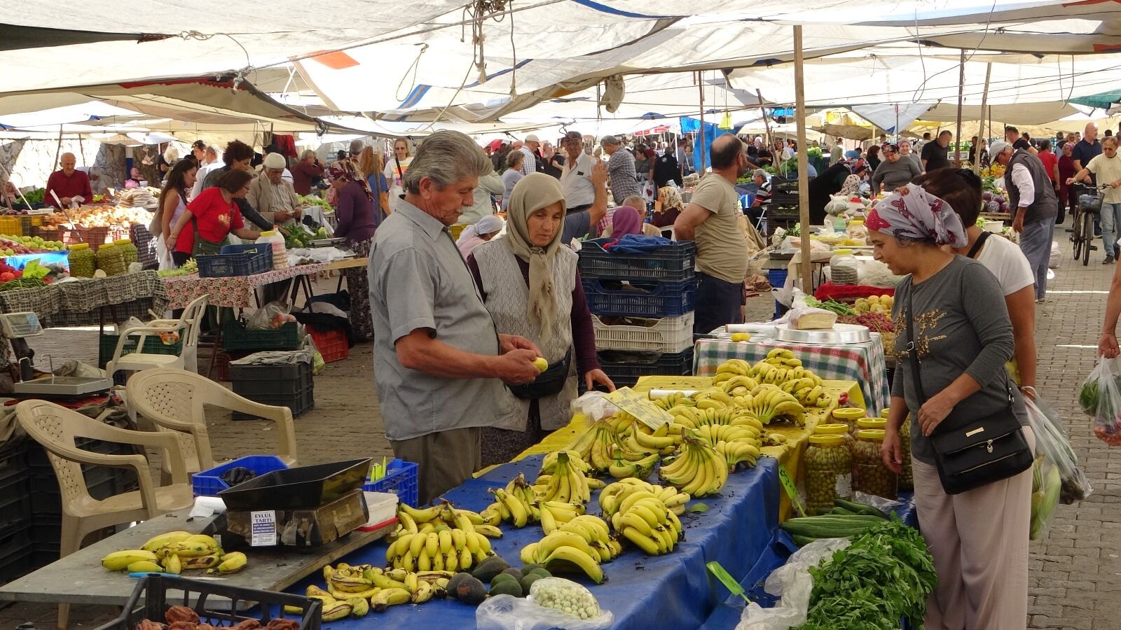 Salı Pazarı Mı, Üretici Pazarı Mı?