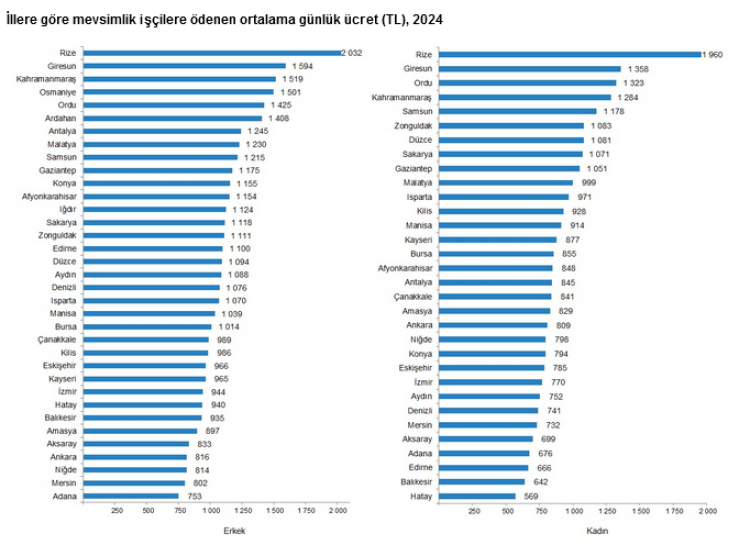 Tarım İşçi Ücretleri TÜİK Verileriyle Netleşti: Hangi İlde Ne Kadar Ödeniyor?