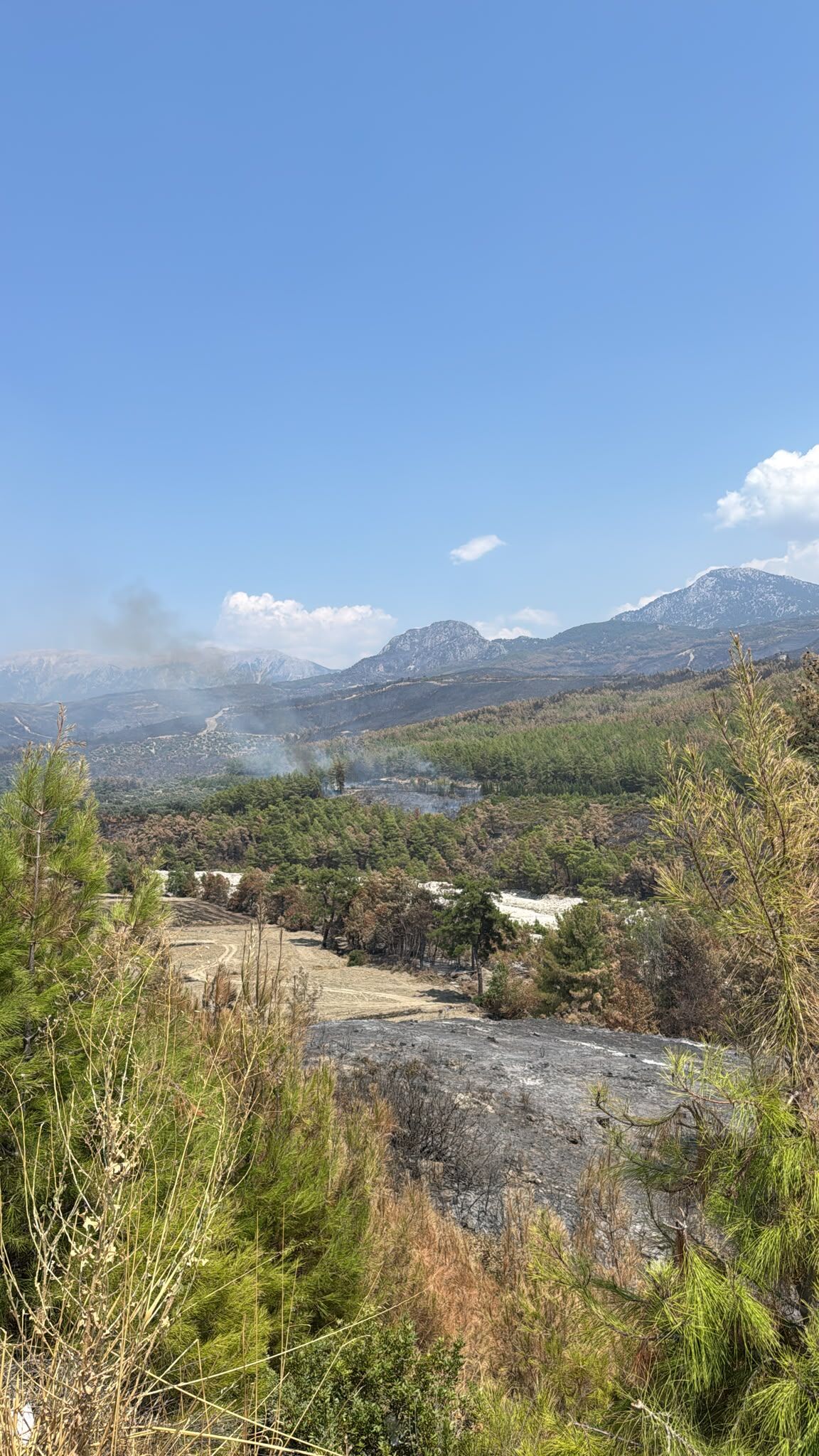 Seydikemer Devlet Hastanesi Arkasında Çıkan Orman Yangını Kontrol Altına Alındı