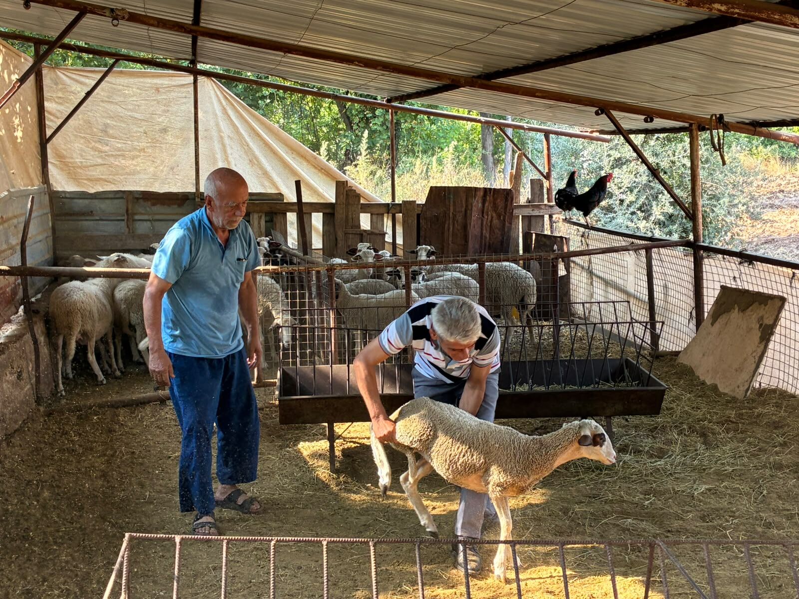 Seydikemer Kayadibi Halkından Yangınzedelere Yardım Eli