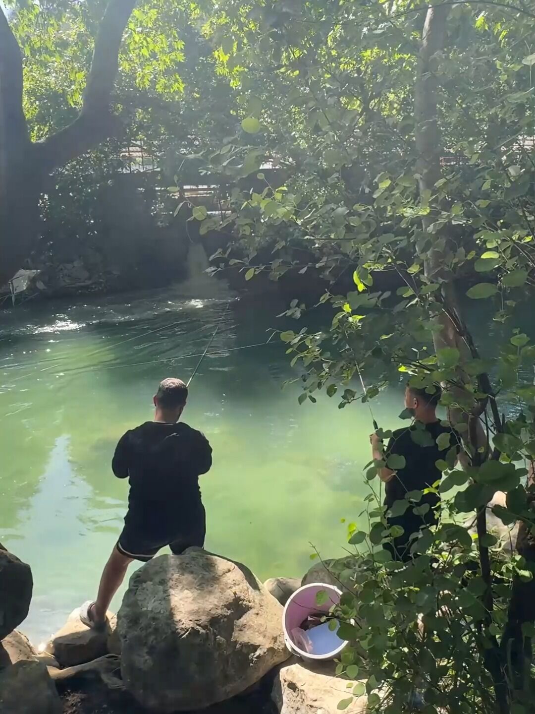 Seydikemer Ören Çayı Amatör Balıkçıların Gözdesi