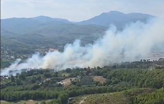 Seydikemer’de Orman Yangını