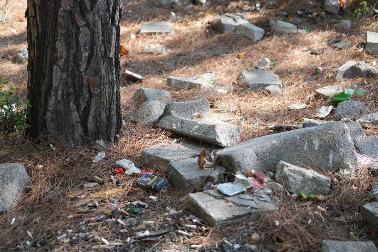 Seydikemer’de Mesire Alanını Tahrip Ettiler