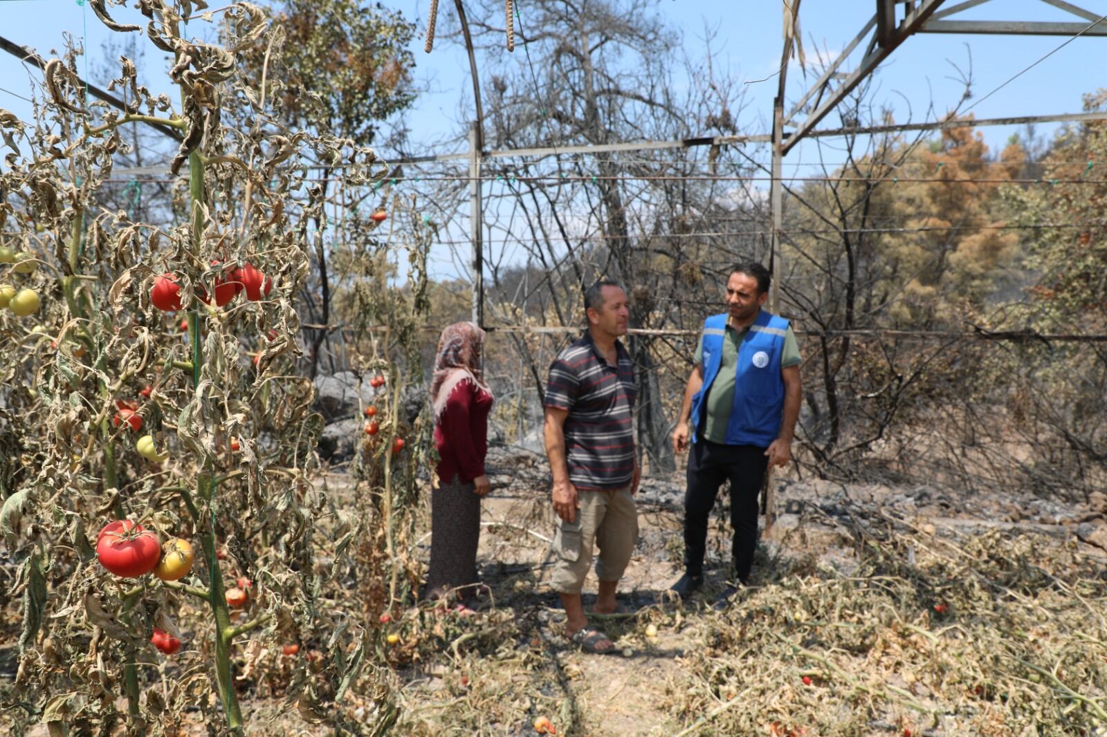 Seydikemer’de Yaralar Hızla Sarılıyor