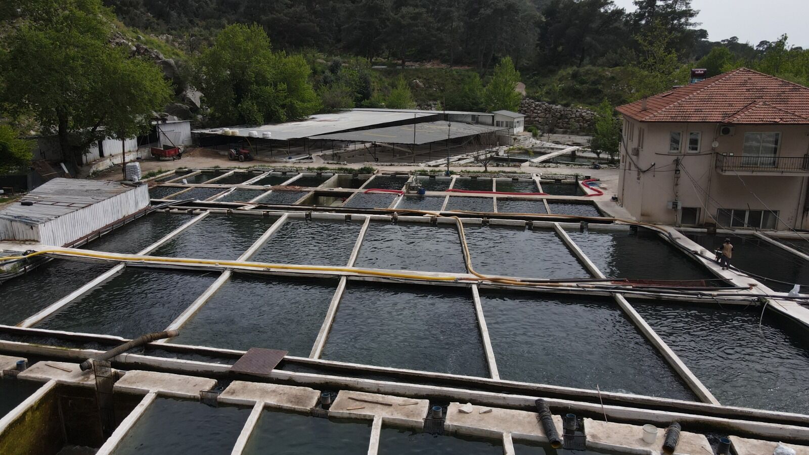 Seydikemer’deki Sel Felaketi Alabalık Tesislerini Vurdu: 100 Milyon Tl Zarar