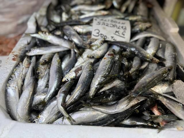 Sezon Başladı, Fethiye Balık Pazarı’nda Fiyatlarda Düşüş Yaşandı