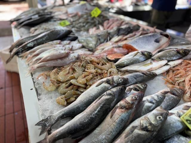 Sezon Başladı, Fethiye Balık Pazarı’nda Fiyatlarda Düşüş Yaşandı