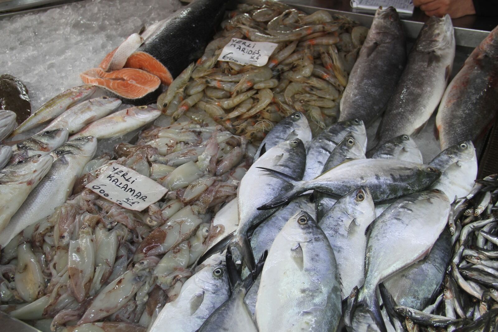 Soğuk Hava Dalgası Balığa Yaradı, Balıkçıya Yaramadı