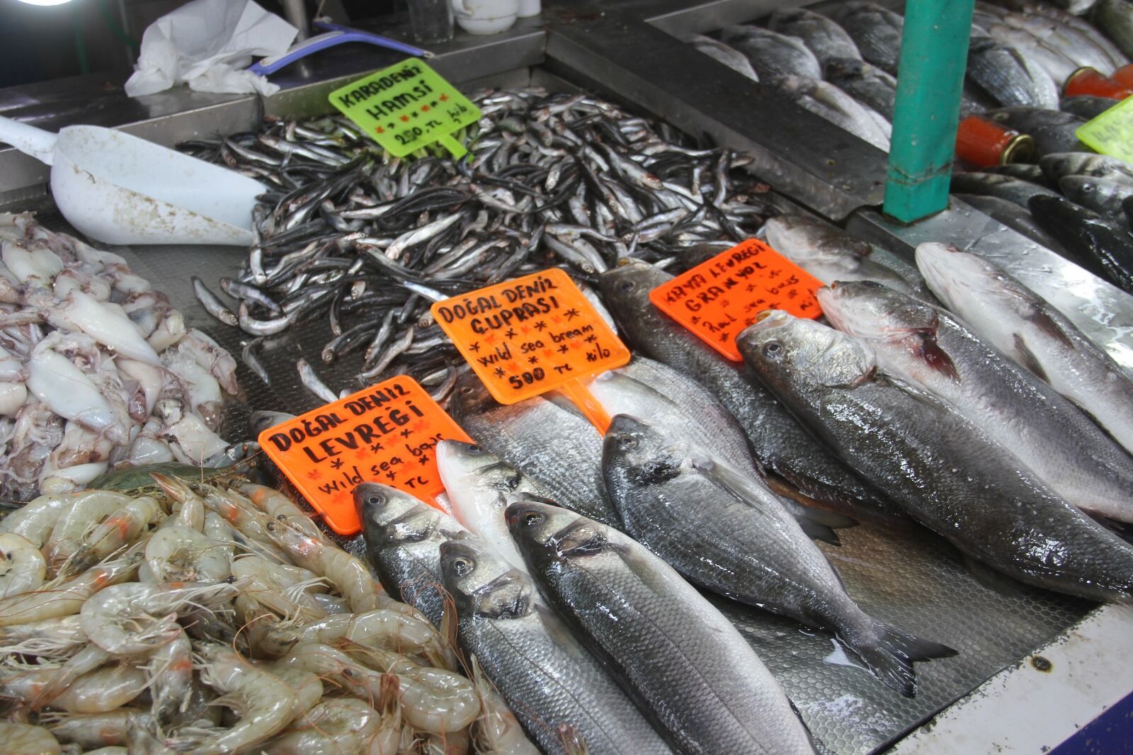 Soğuk Hava Dalgası Balığa Yaradı, Balıkçıya Yaramadı
