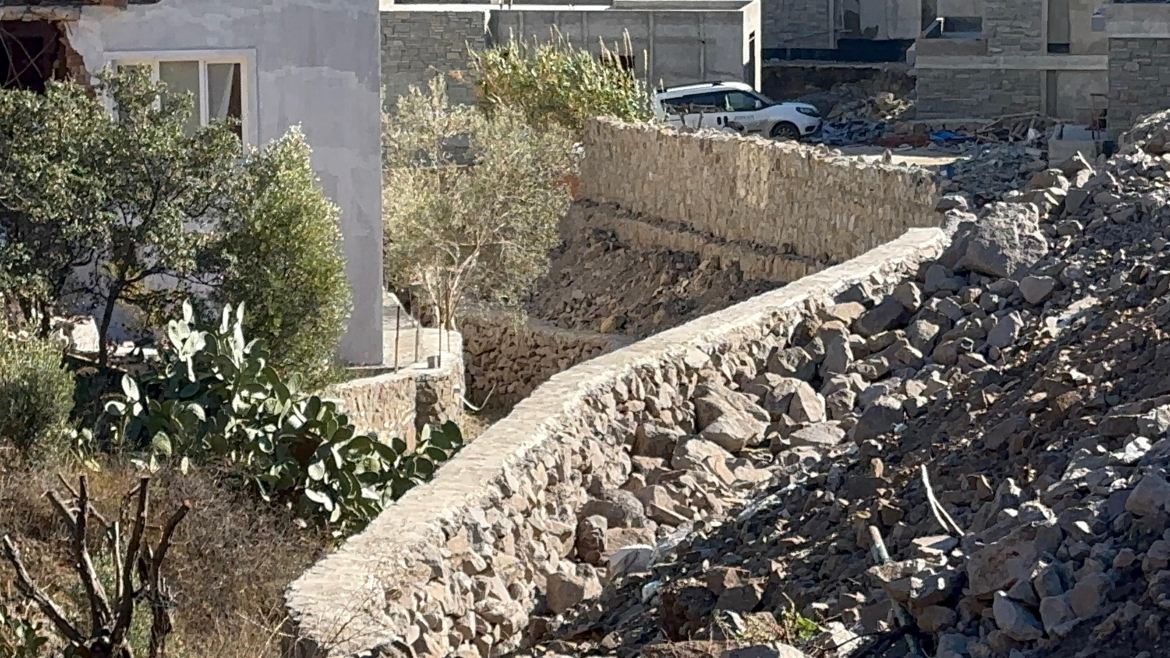 Suavi'nin Bodrum'daki Arazisinde 40 Ağaç Kesildi