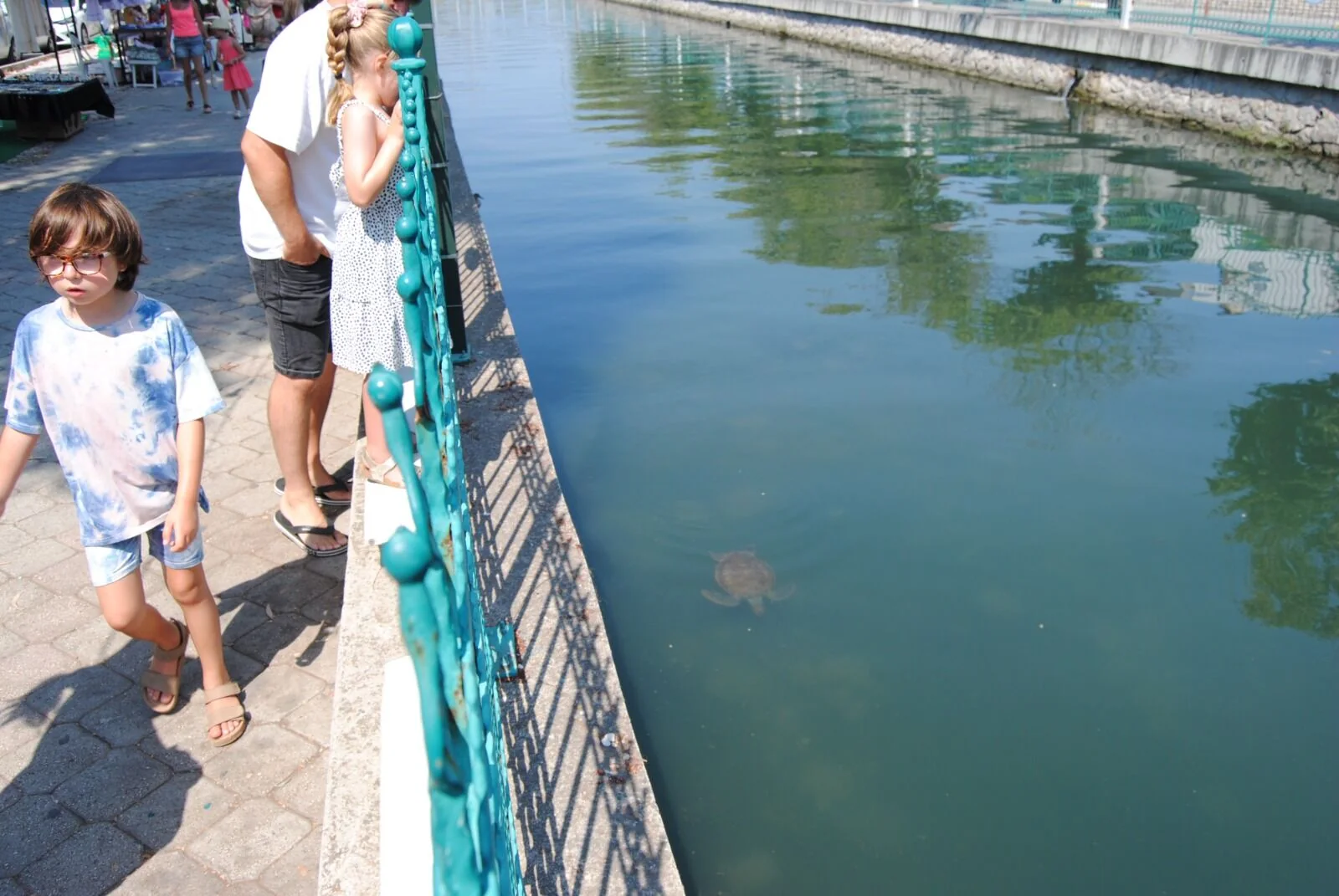 Turistlerin Caretta Caretta İlgisi