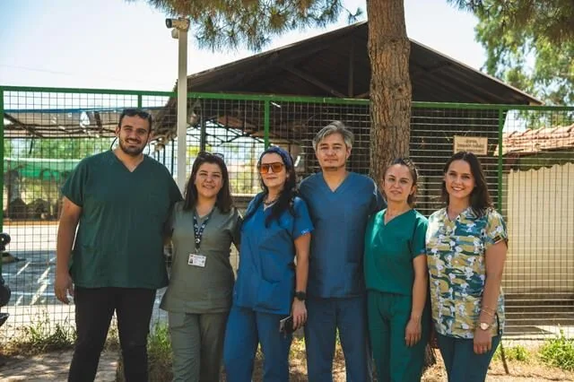 Türkiye’nin İlk VİP’i Hayvan Barınağı Projesi, Fethiye’de Hayata Geçecek