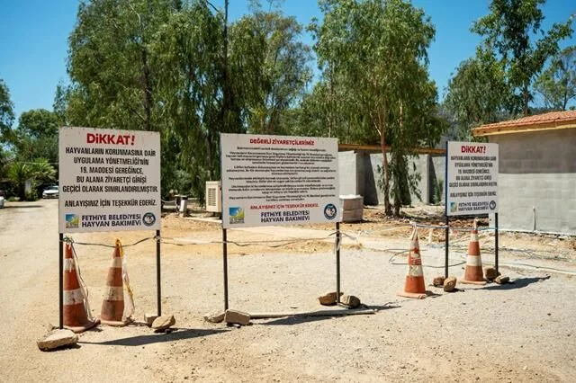 Türkiye’nin İlk VİP’i Hayvan Barınağı Projesi, Fethiye’de Hayata Geçecek