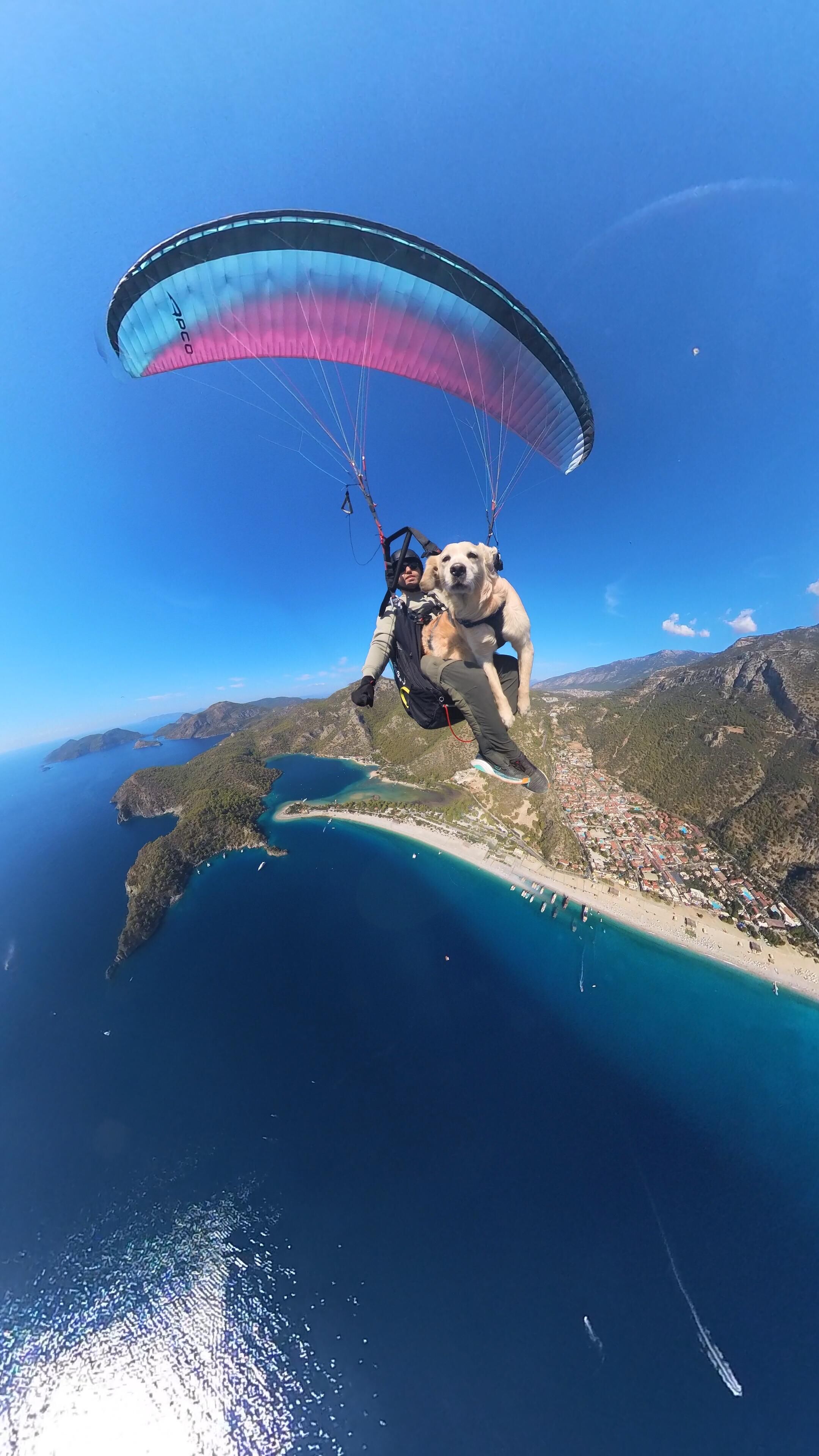 Ölüdeniz Hava Oyunları'nda ‘Badem’ İsimli Köpek De Uçtu