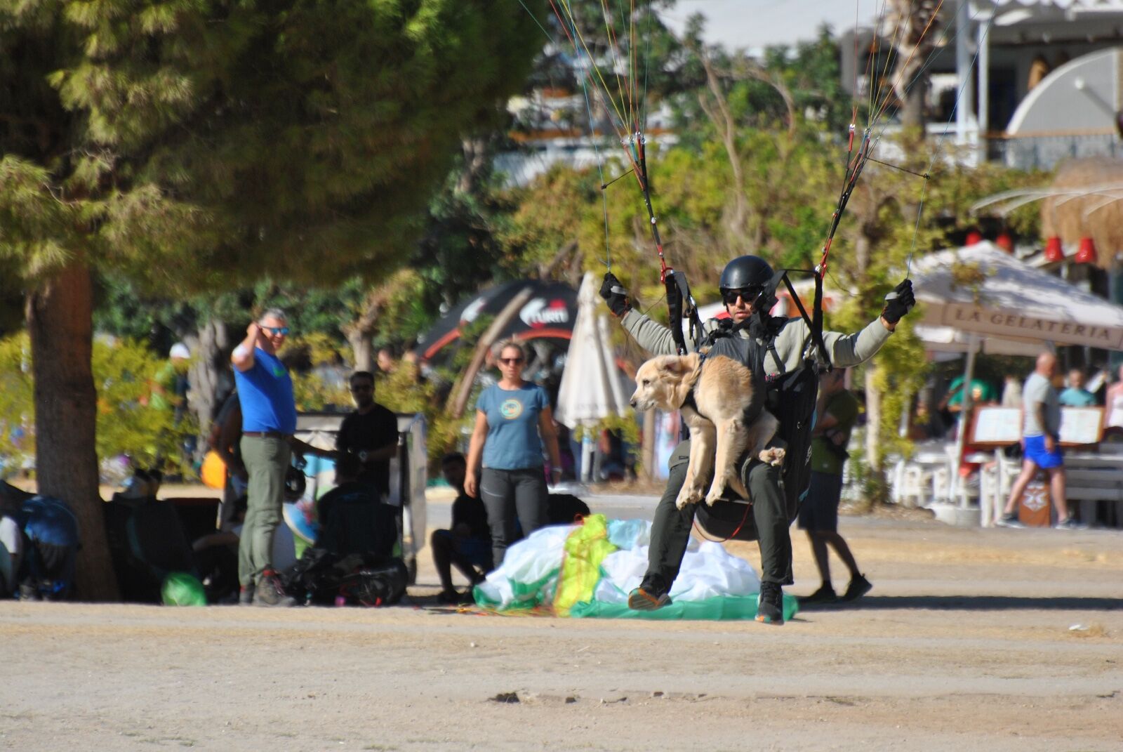 Ölüdeniz Hava Oyunları'nda ‘Badem’ İsimli Köpek De Uçtu