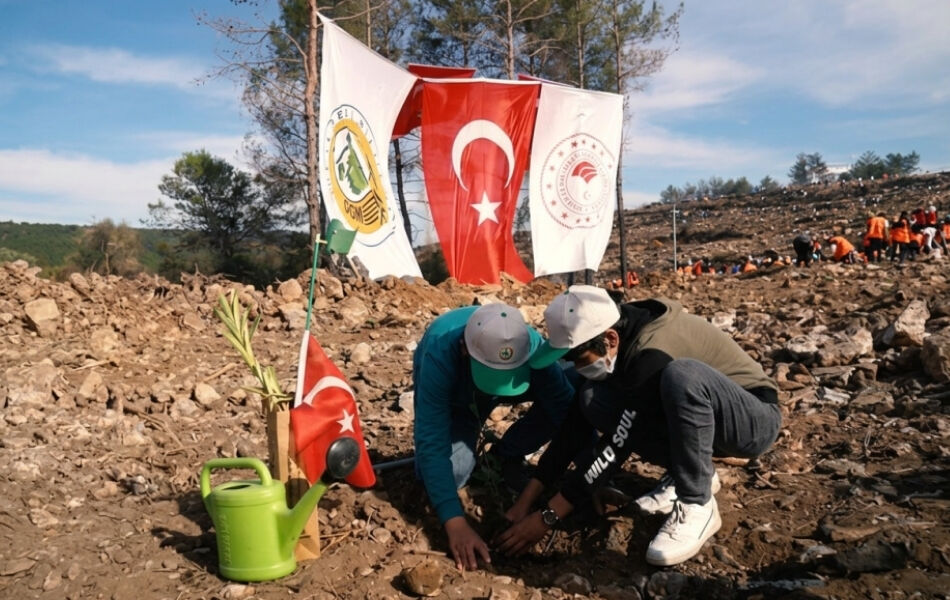 Muğla’da Büyük Yangınların 5. Yılında Yanan Alanlar Yeşil Örtüsüne Kavuştu