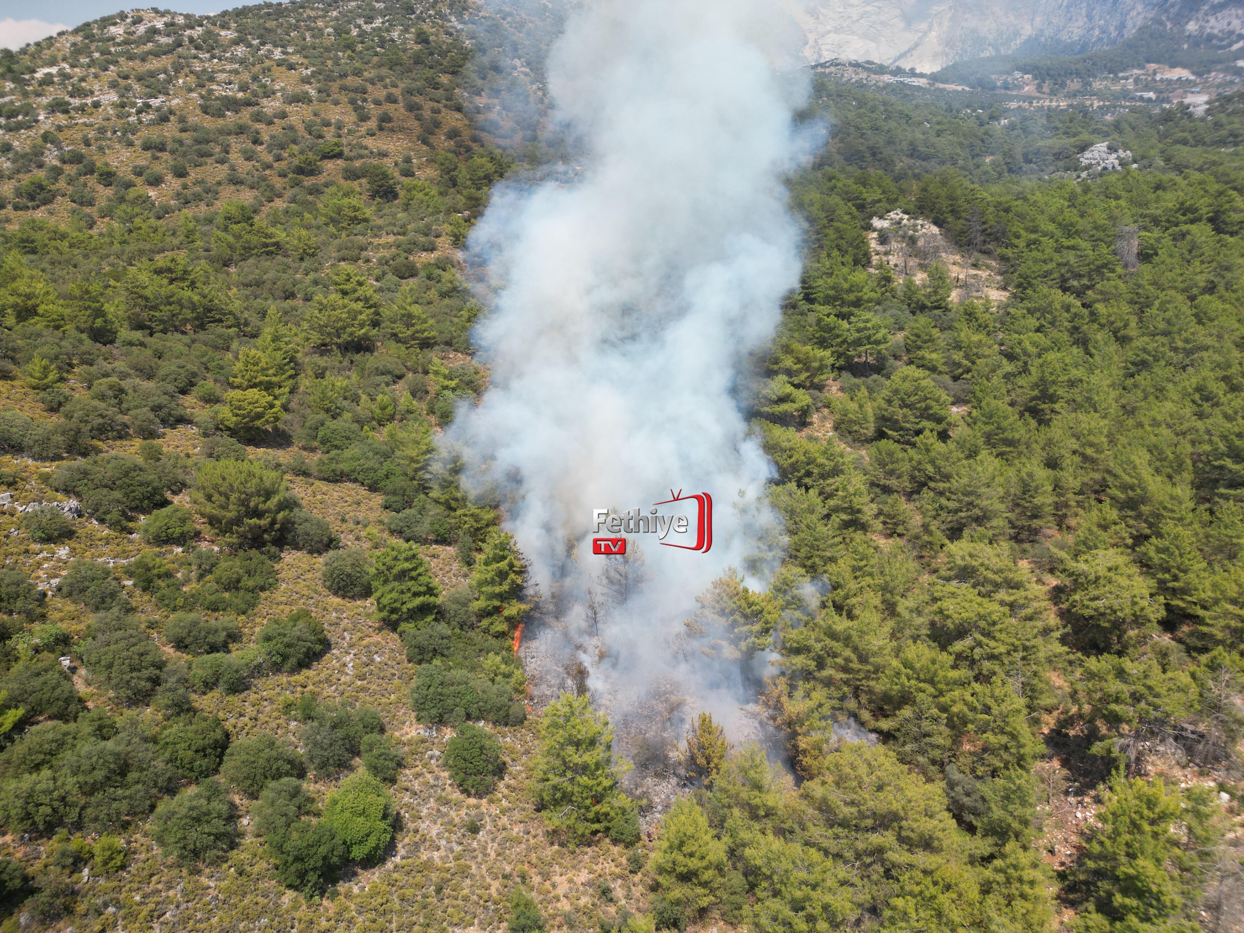 Fethiye'deki Orman Yangını Kontrol Altına Alındı