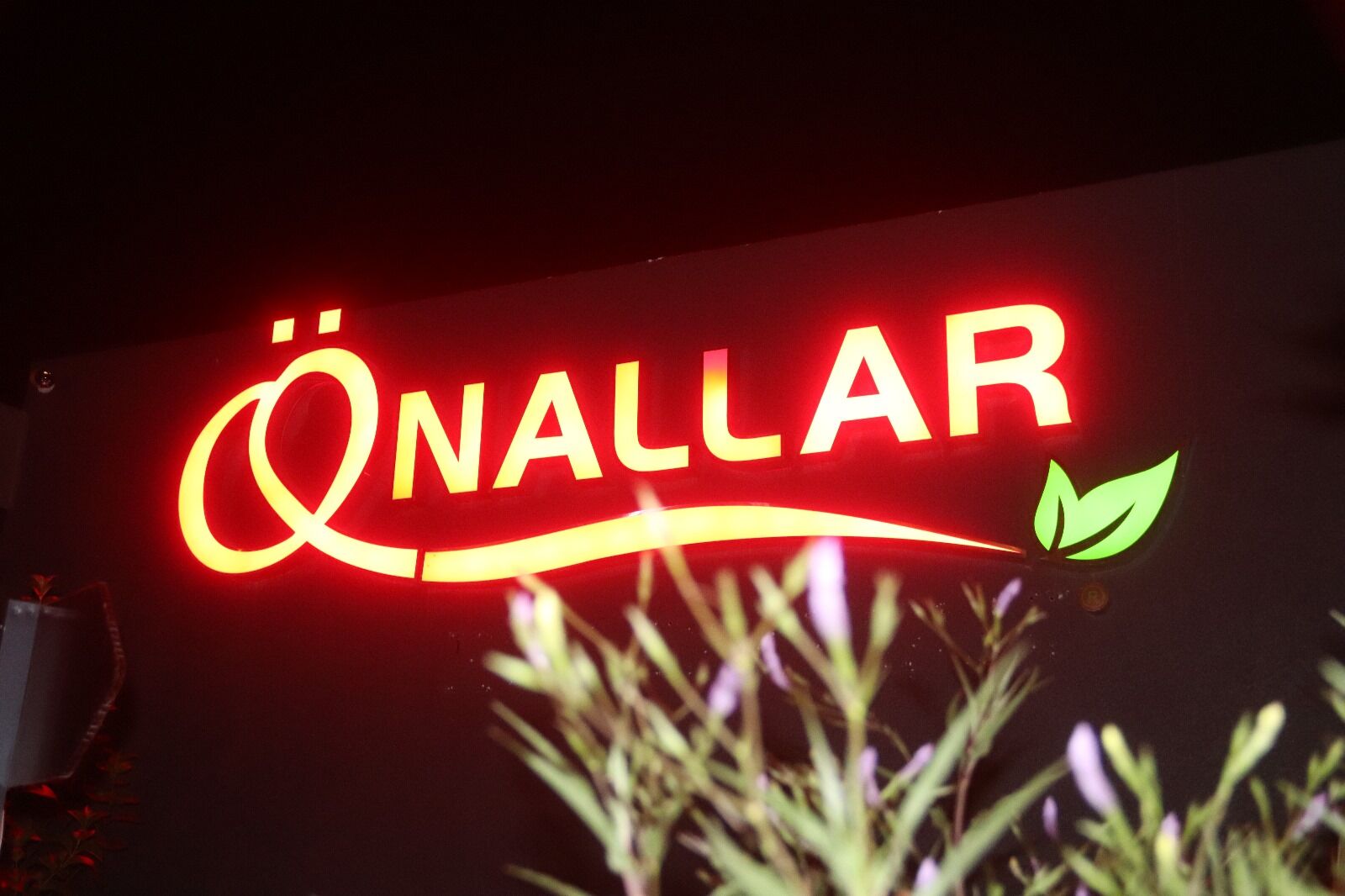 Önallar Fethiye, Her Gece Eğlencenin ve Lezzetin Buluşma Noktası
