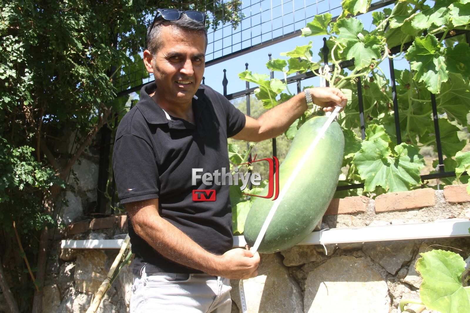 Fethiye Huzurevinde Dev Salatalık Yetiştirdi