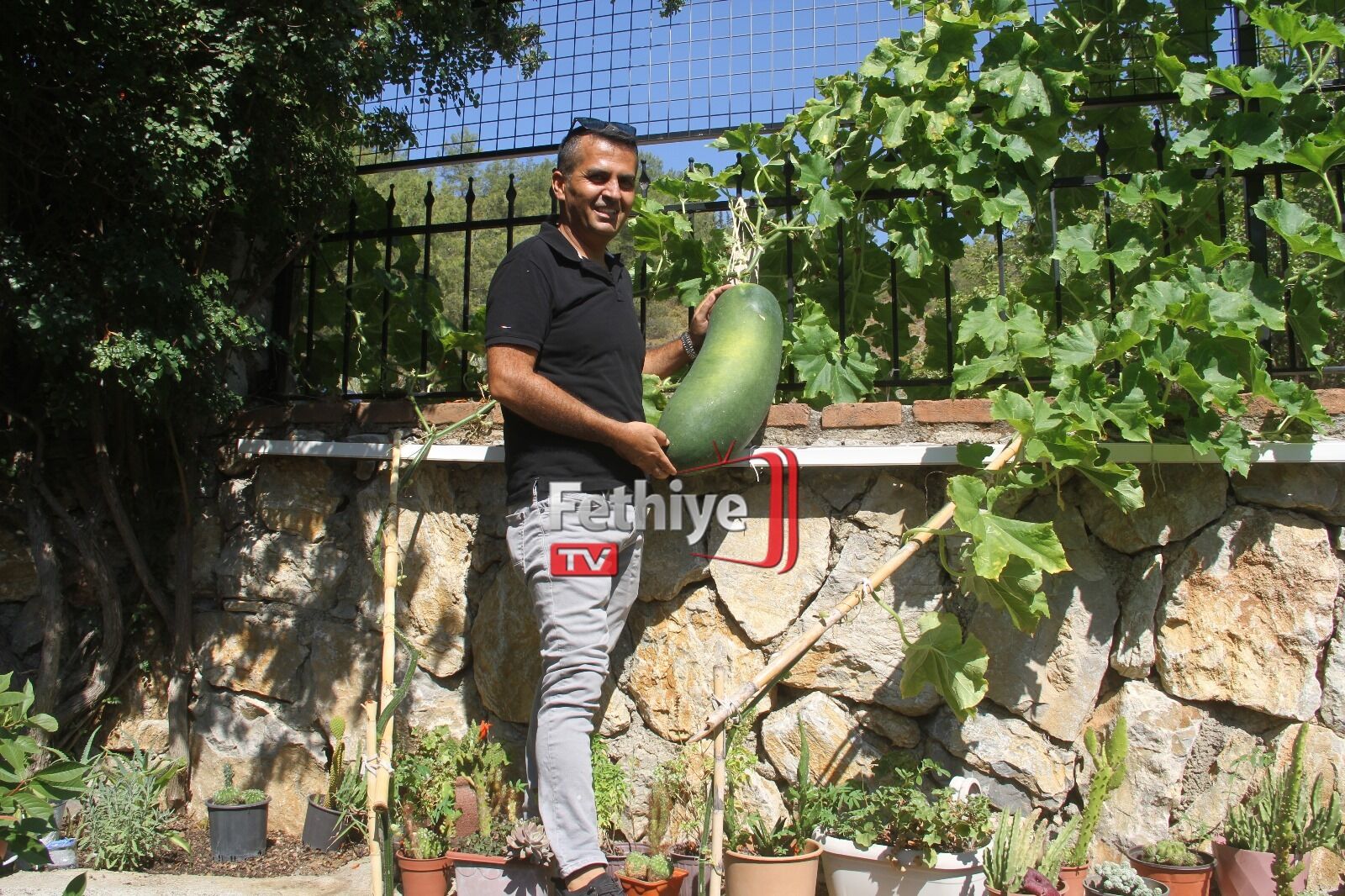 Fethiye Huzurevinde Dev Salatalık Yetiştirdi