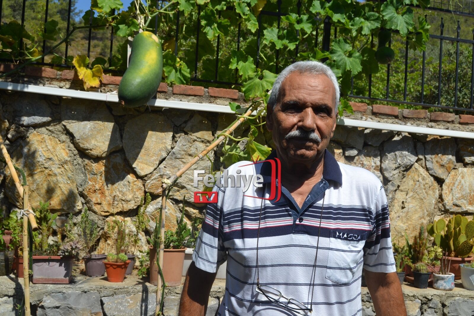 Fethiye Huzurevinde Dev Salatalık Yetiştirdi