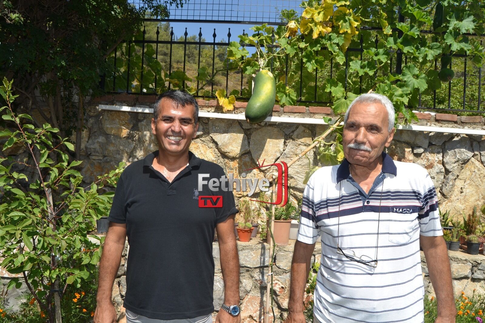 Fethiye Huzurevinde Dev Salatalık Yetiştirdi