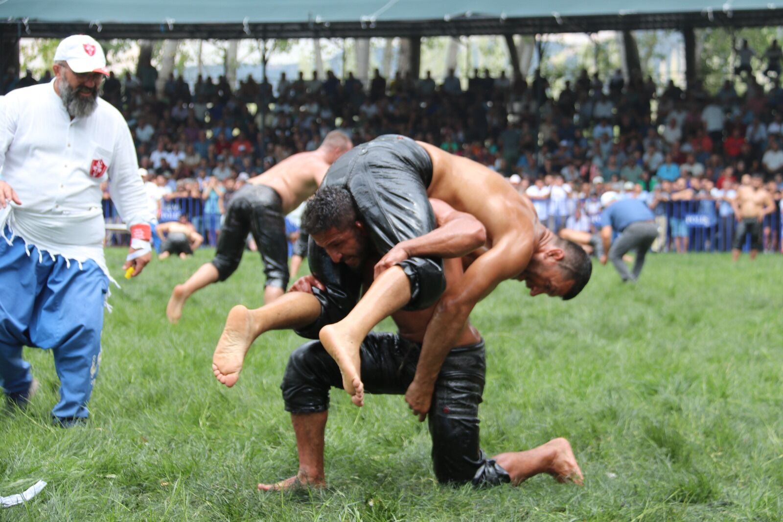 Geleneksel Yayla Seki Yağlı Güreşleri’ni ‘Özkaya’ Kazandı