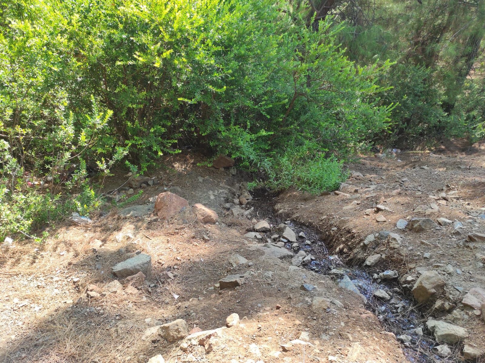 Karaçulha’da Ormana Bırakılan Bebekle İlgili 2 Şüpheli Gözaltına Alındı