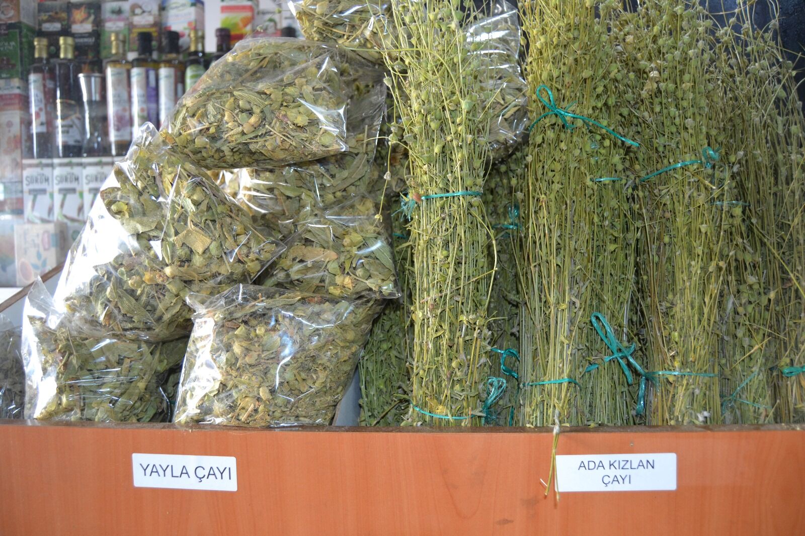Fethiye’de Bağışıklığını Güçlendirmek İsteyen Aktara Gidiyor
