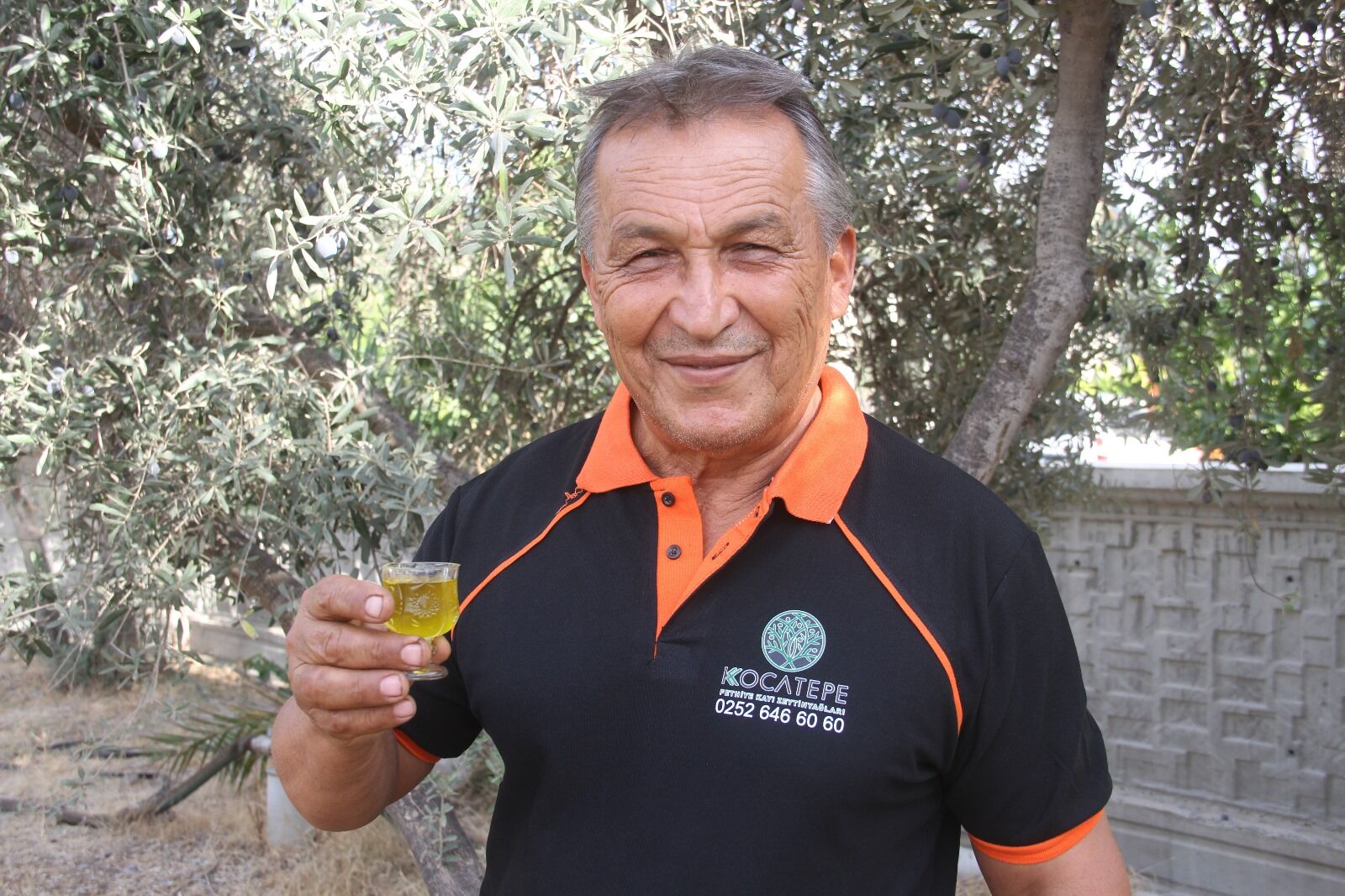 Fethiye’de Zeytin Hasadı Erken Başladı