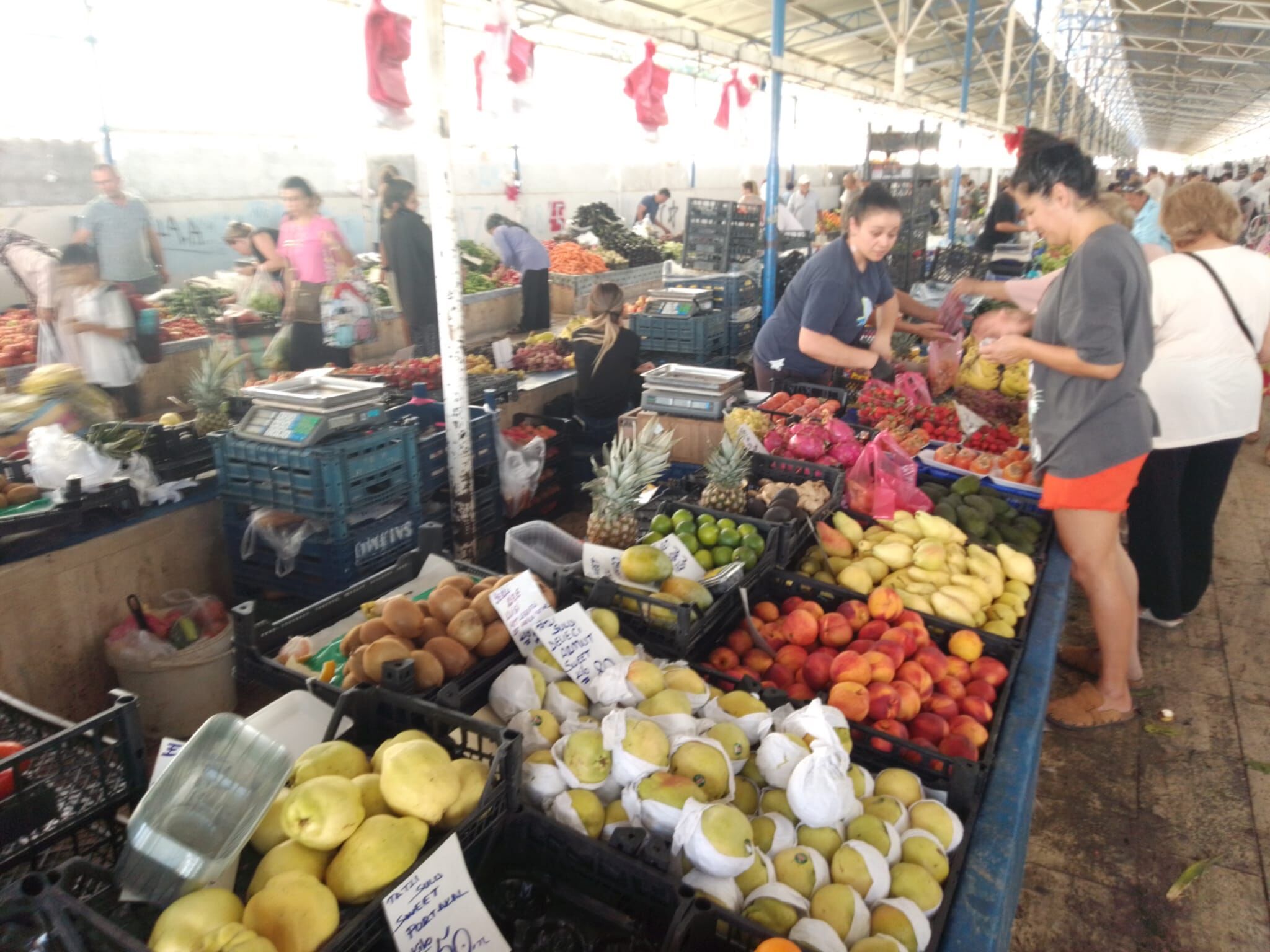 Fethiye Salı Pazarı Bugün Kuruldu