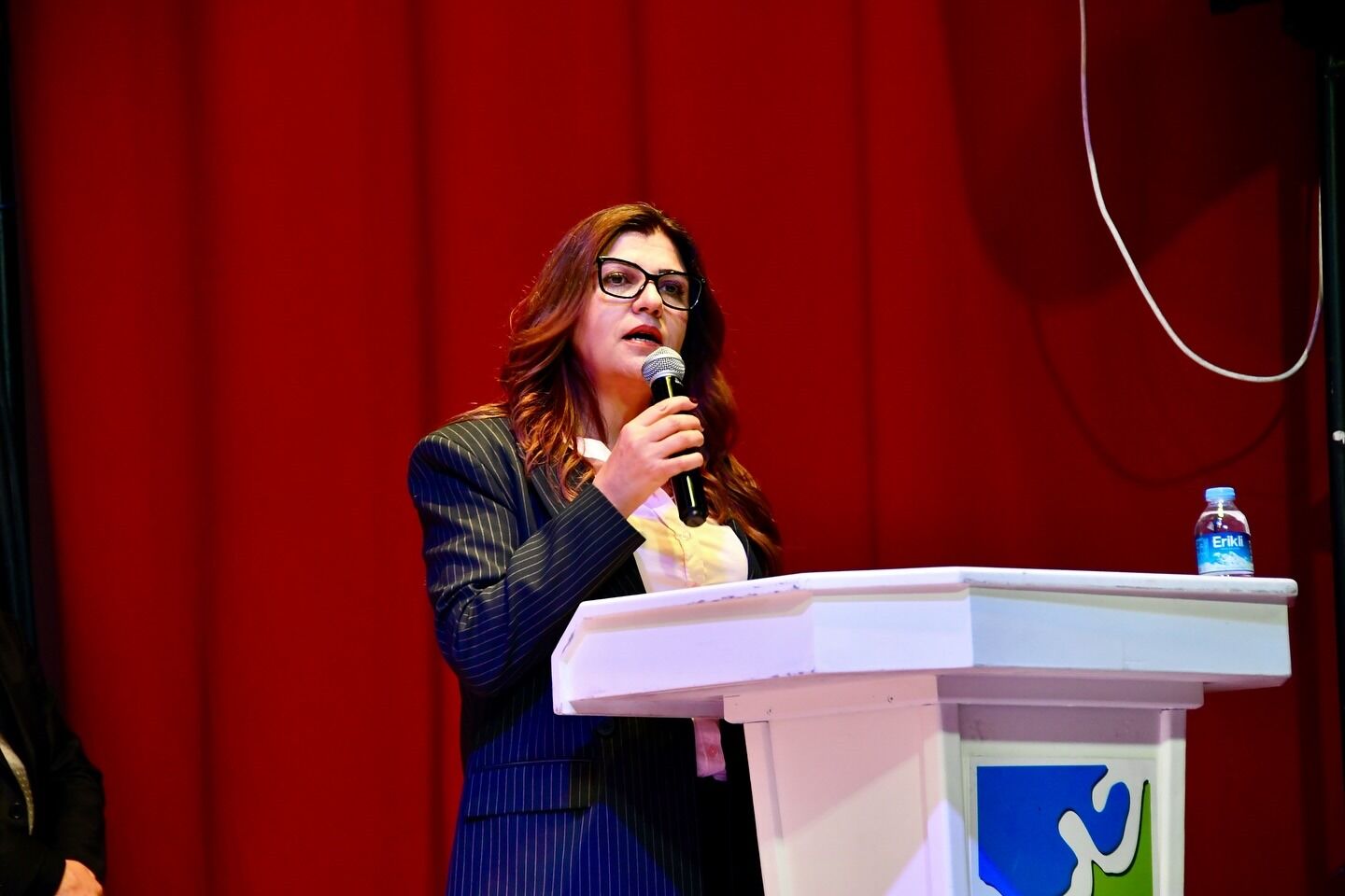 CHP Fethiye İlçe Örgütü’nden 'Siyasette Kadın Temsiliyeti' Paneli