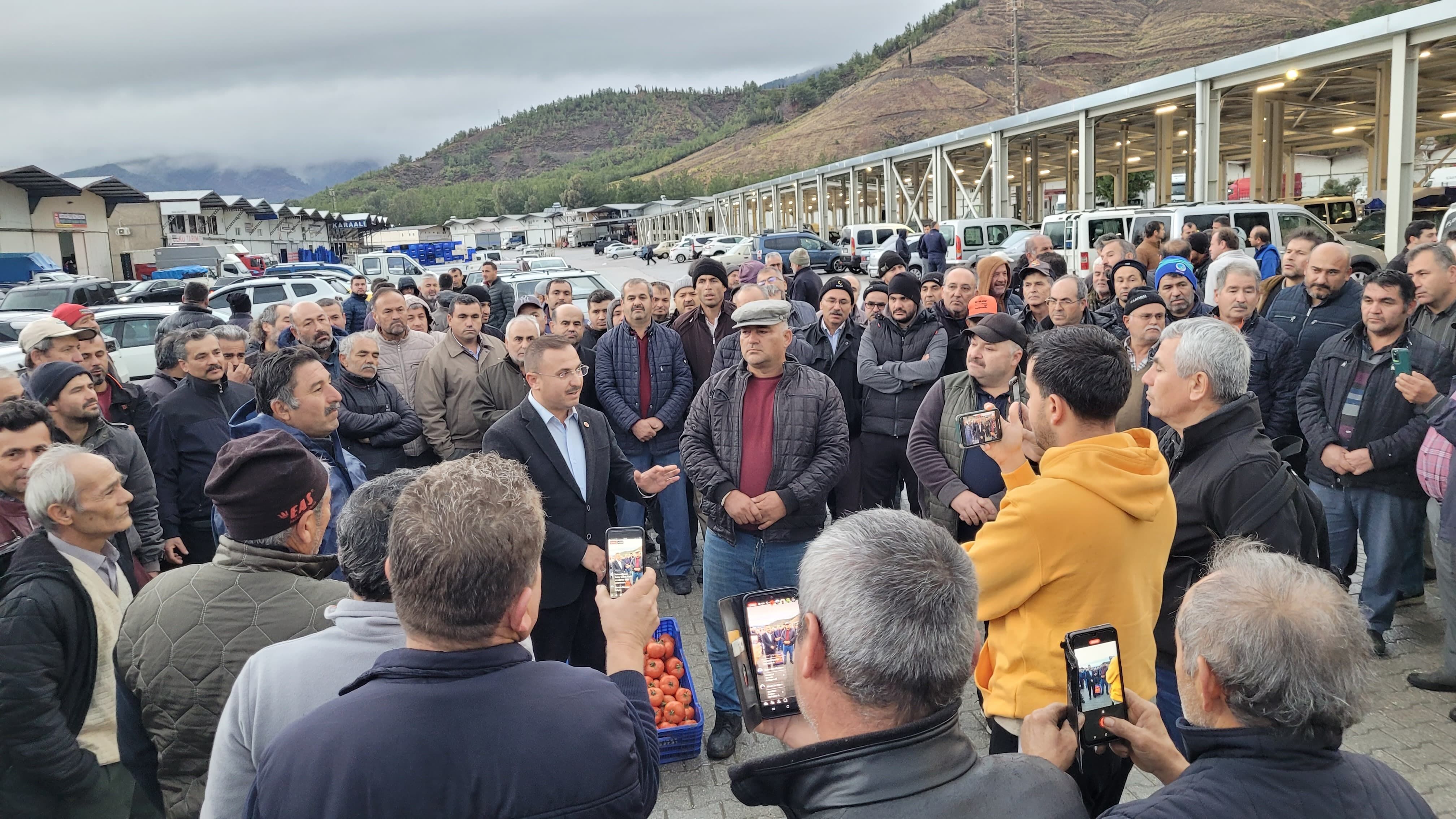 Fethiyeli Çiftçiler Domates Toplamama Kararı Aldı