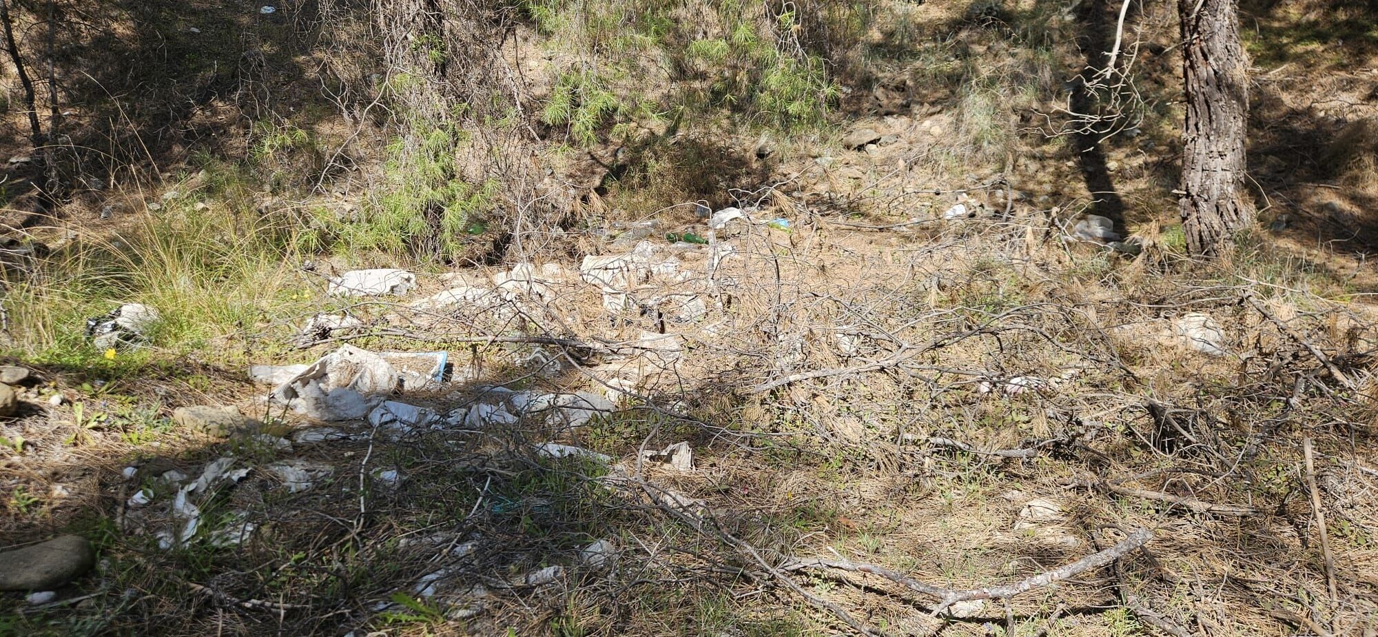 Fethiye’nin Ormanlık Alanında Çevre Kirliliği