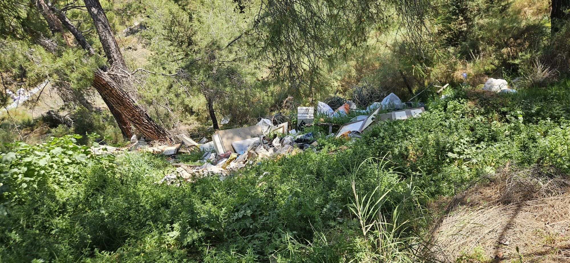 Fethiye’nin Ormanlık Alanında Çevre Kirliliği