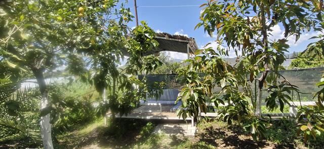 Fethiye Kargı’da Lezzet Ve Huzurun Yeni Adresi: Asmalı Bahçe Kahvaltı Evi